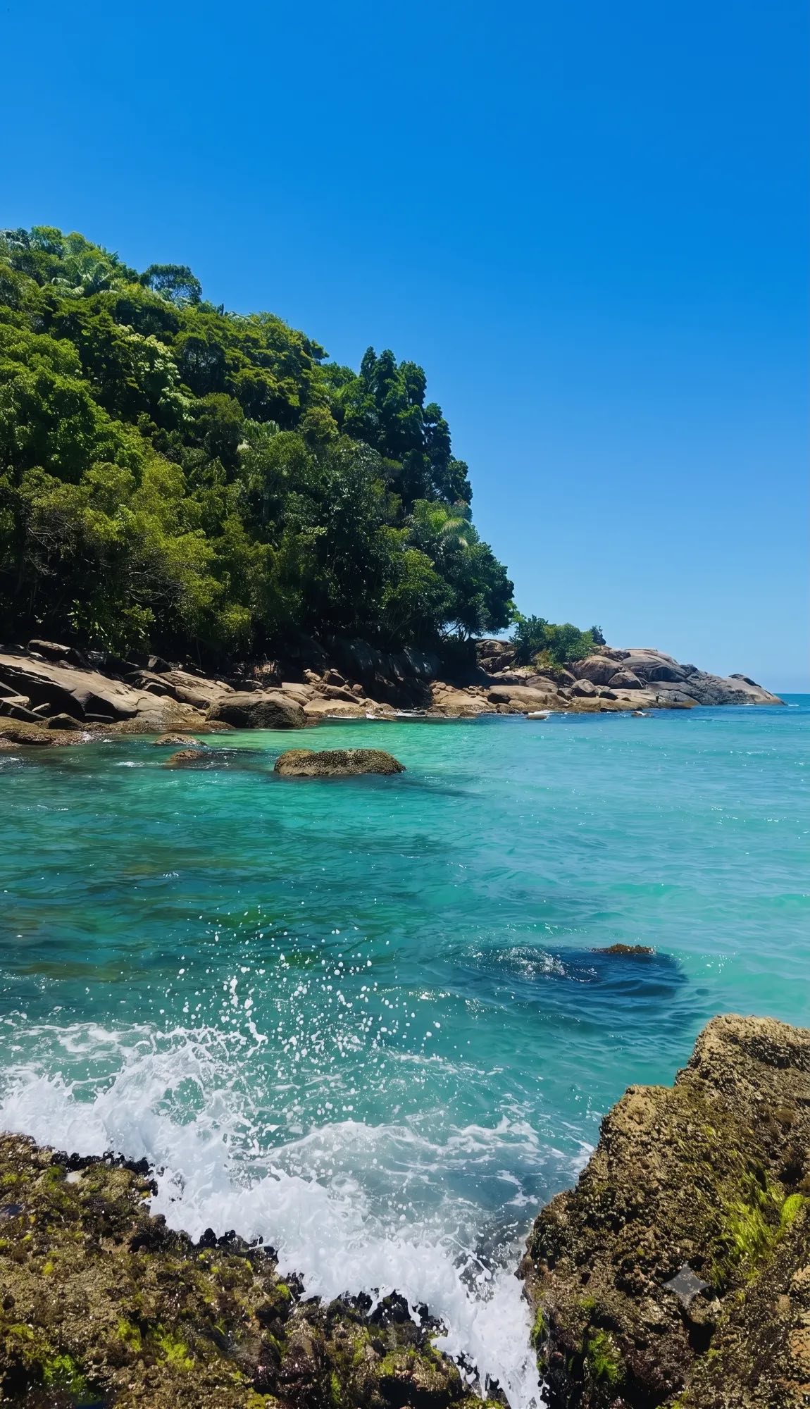 Mar azul-turquesa com costão de pedras e mata — nitidez de quem enxerga cada detalhe